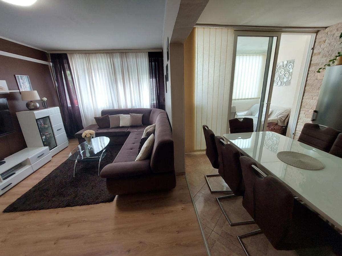 Apartament David