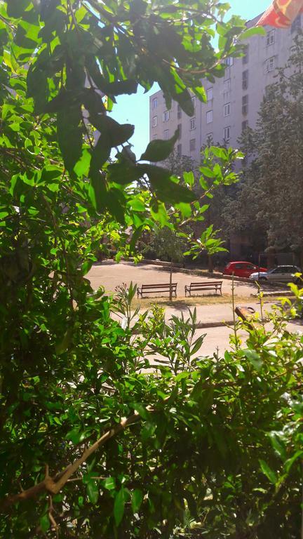 Apartament David Zadar